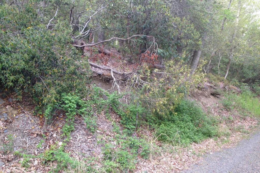 Meadows of Dan Fox Trot Cabin מראה חיצוני תמונה